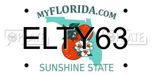 ELTY63 Florida License Plate