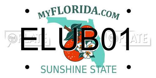 ELUB01 Florida License Plate