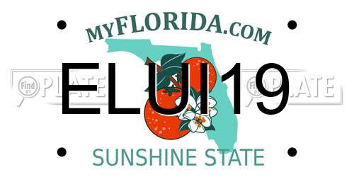 ELUI19 Florida License Plate