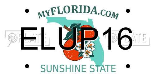 ELUP16 Florida License Plate