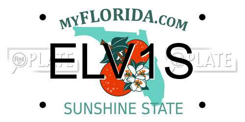 ELV1S Florida License Plate