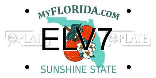 ELV7 Florida License Plate