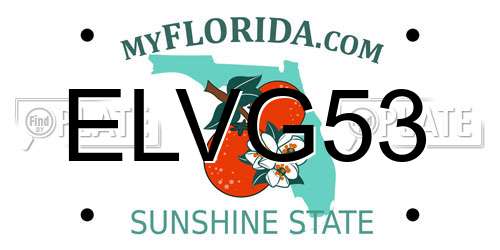 ELVG53 Florida License Plate