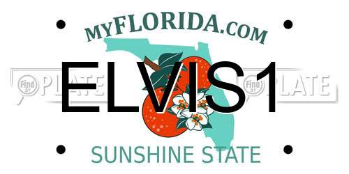 ELVIS1 Florida License Plate