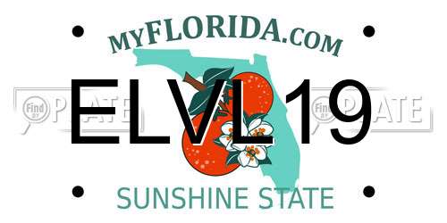 ELVL19 Florida License Plate