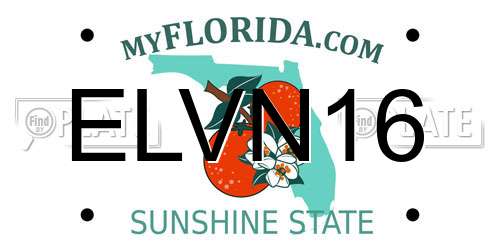 ELVN16 Florida License Plate