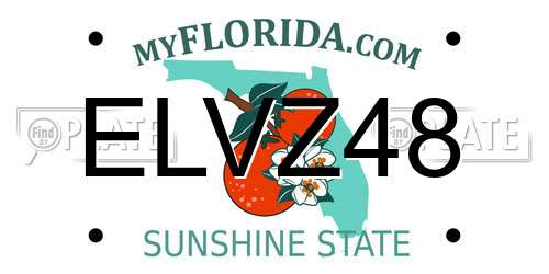 ELVZ48 Florida License Plate