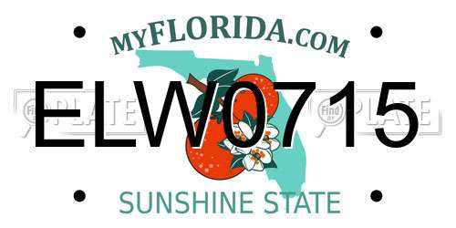 ELW0715 Florida License Plate