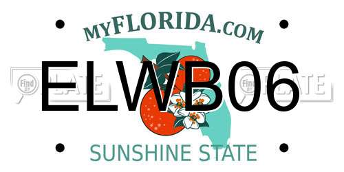 ELWB06 Florida License Plate