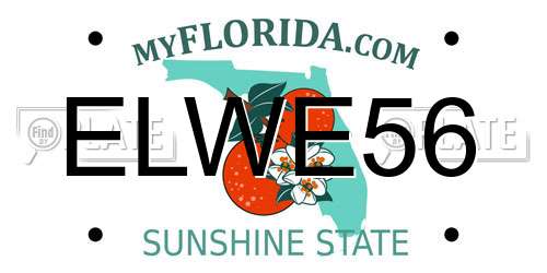 ELWE56 Florida License Plate