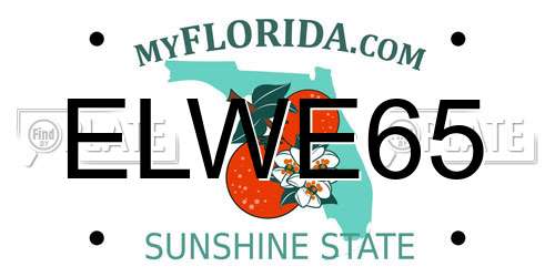 ELWE65 Florida License Plate