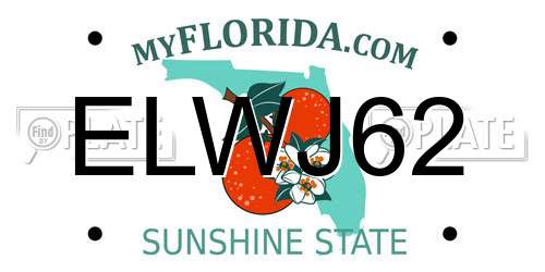 ELWJ62 Florida License Plate