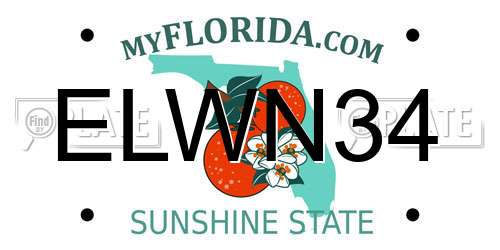 ELWN34 Florida License Plate