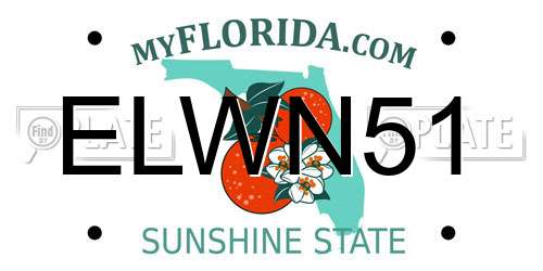 ELWN51 Florida License Plate