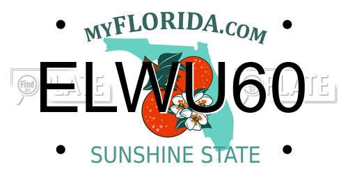ELWU60 Florida License Plate