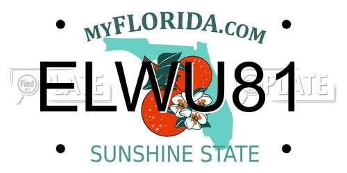 ELWU81 Florida License Plate