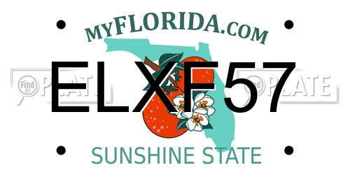 ELXF57 Florida License Plate