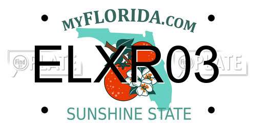 ELXR03 Florida License Plate