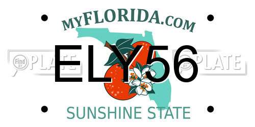 ELY56 Florida License Plate