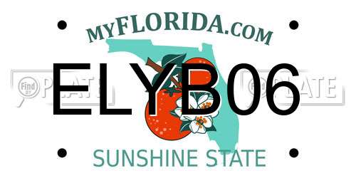ELYB06 Florida License Plate