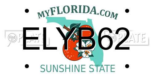 ELYB62 Florida License Plate