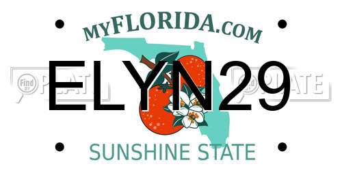 ELYN29 Florida License Plate
