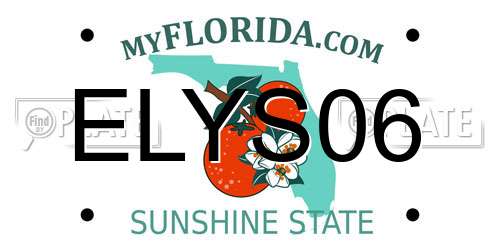 ELYS06 Florida License Plate