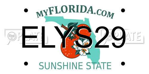 ELYS29 Florida License Plate