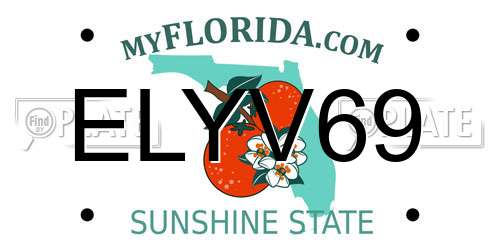 ELYV69 Florida License Plate