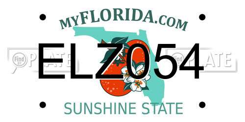 ELZ054 Florida License Plate