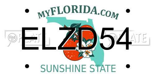 ELZD54 Florida License Plate