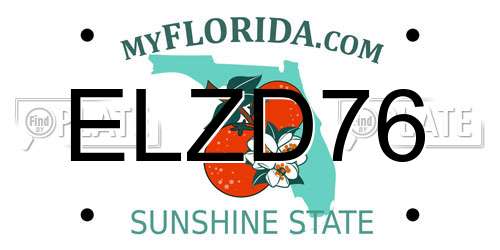 ELZD76 Florida License Plate