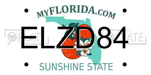 ELZD84 Florida License Plate