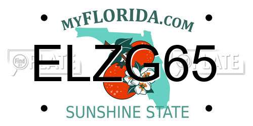 ELZG65 Florida License Plate