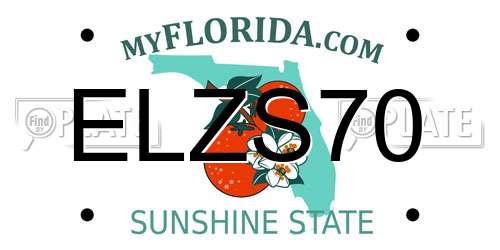 ELZS70 Florida License Plate