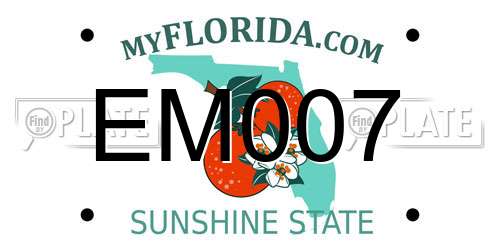 EM007 Florida License Plate