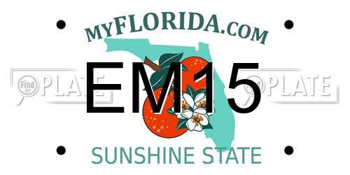 EM15 Florida License Plate