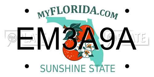 EM3A9A Florida License Plate
