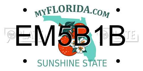 EM5B1B Florida License Plate