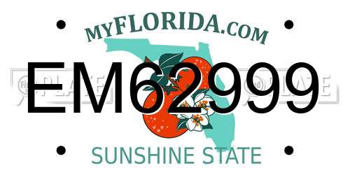 EM62999 Florida License Plate