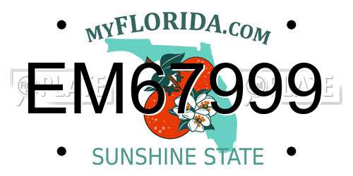 EM67999 Florida License Plate