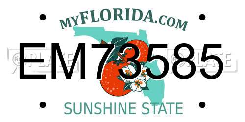EM73585 Florida License Plate