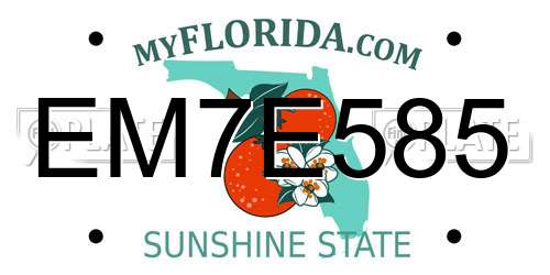 EM7E585 Florida License Plate