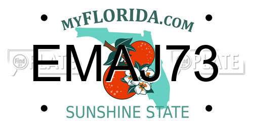 EMAJ73 Florida License Plate