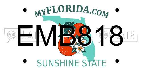EMB818 Florida License Plate