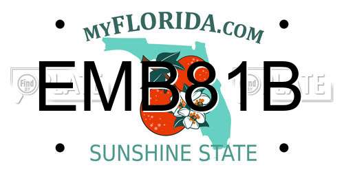 EMB81B Florida License Plate
