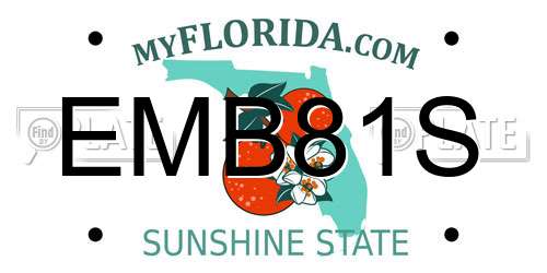 EMB81S Florida License Plate
