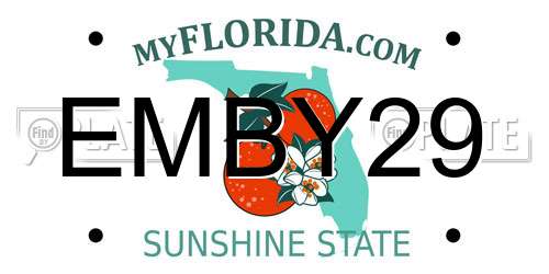 EMBY29 Florida License Plate