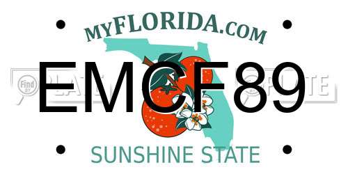 EMCF89 Florida License Plate