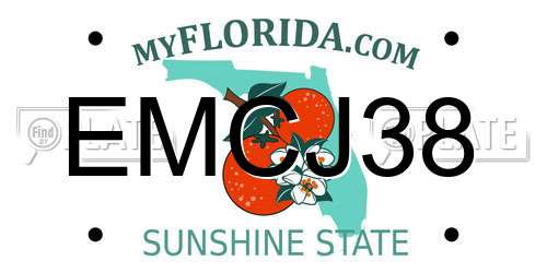 EMCJ38 Florida License Plate
